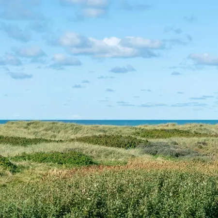 Holiday home Anne - 100m From The Sea In Nw Jutland By Interhome